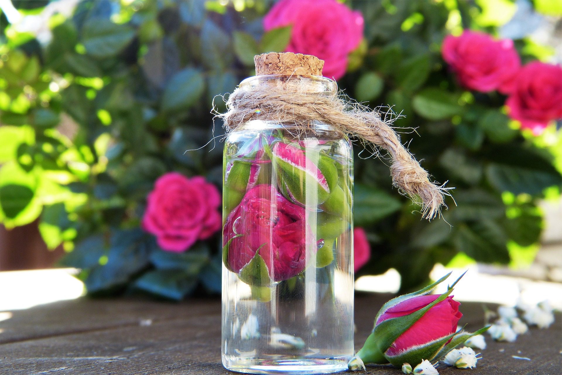 Comment faire un hydrolat et une eau florale maison ? – do it yourself