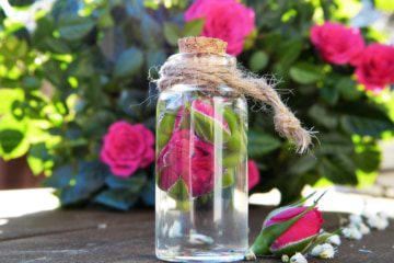 Comment faire un hydrolat et une eau florale maison ? – do it yourself